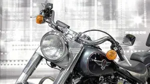 Harley-Davidson 1340 Heritage Special (1993 - 96)  (9)
