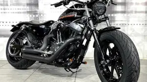 Harley-Davidson XL 1200N Nightster (2008 - 12) 