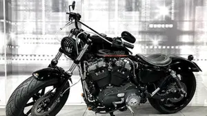 Harley-Davidson XL 1200N Nightster (2008 - 12)  (7)