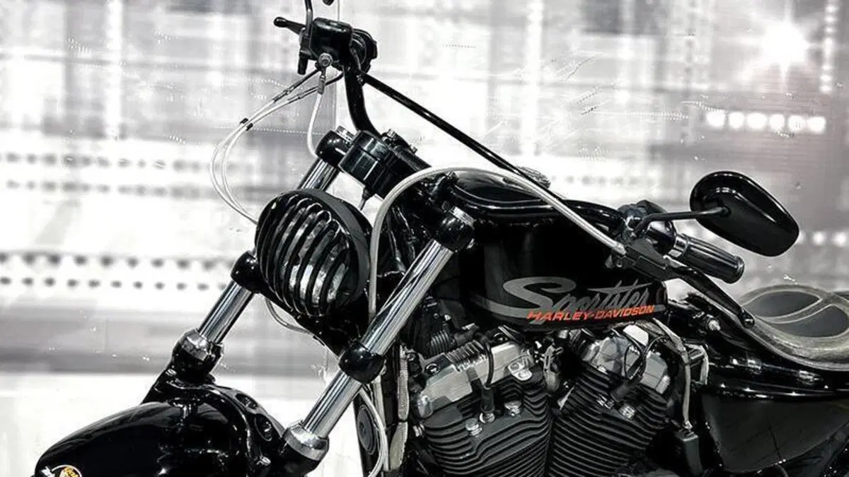 Harley-Davidson XL 1200N Nightster (2008 - 12)  (9)