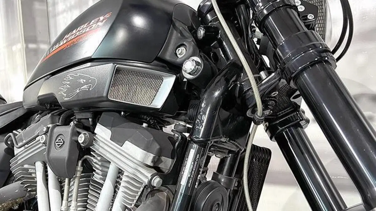 Harley-Davidson 1200 XR (2009 - 12)  (5)
