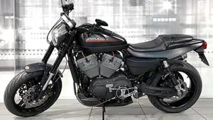 Harley-Davidson 1200 XR (2009 - 12)  (7)