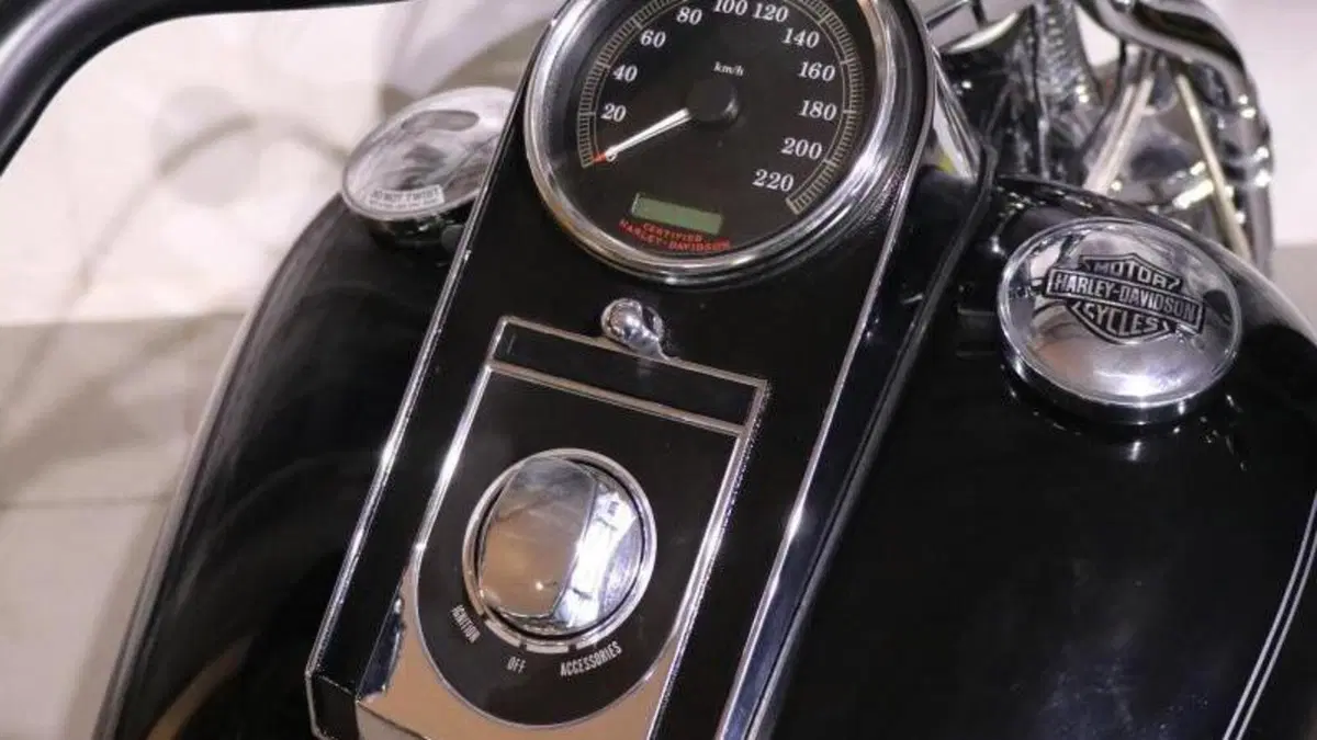 Harley-Davidson 1450 Springer (2002 - 04) - FXSTSI  (6)