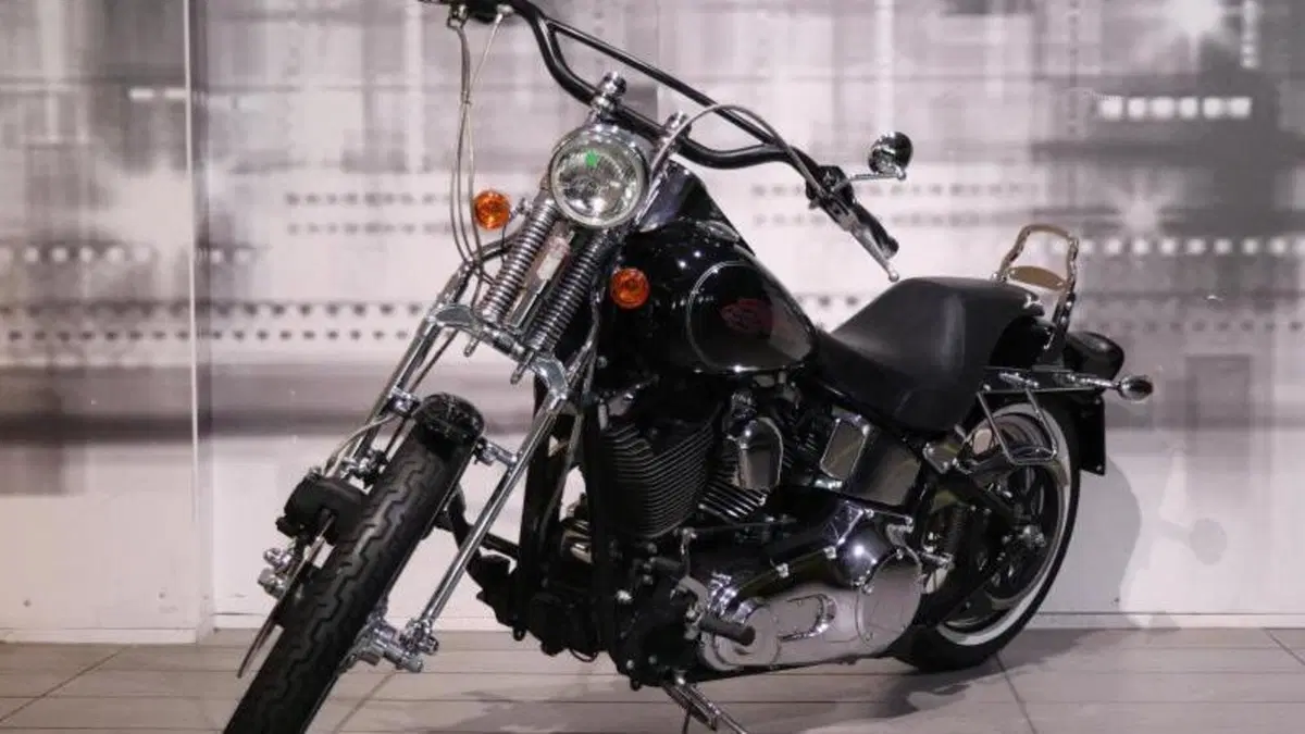 Harley-Davidson 1450 Springer (2002 - 04) - FXSTSI  (7)