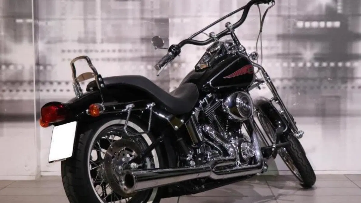 Harley-Davidson 1450 Springer (2002 - 04) - FXSTSI  (8)