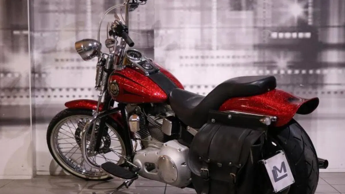 Harley-Davidson 1450 Standard (2002 - 05) - FXSTI  (2)