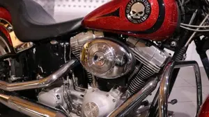 Harley-Davidson 1450 Standard (2002 - 05) - FXSTI  (3)