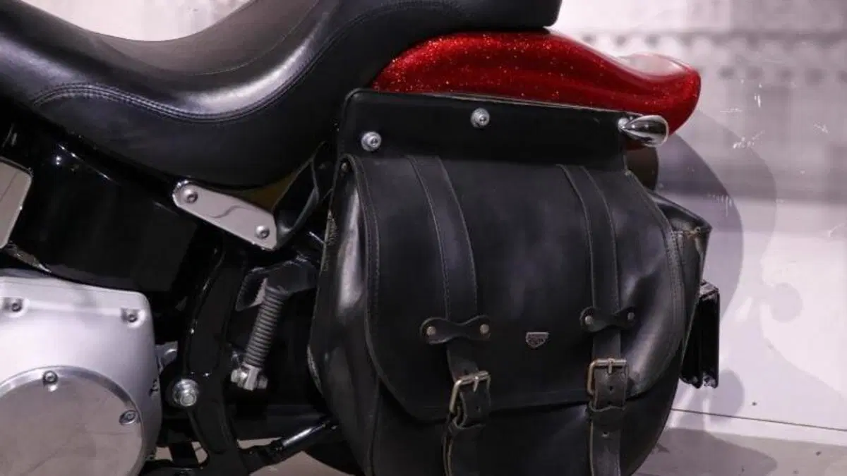 Harley-Davidson 1450 Standard (2002 - 05) - FXSTI  (5)