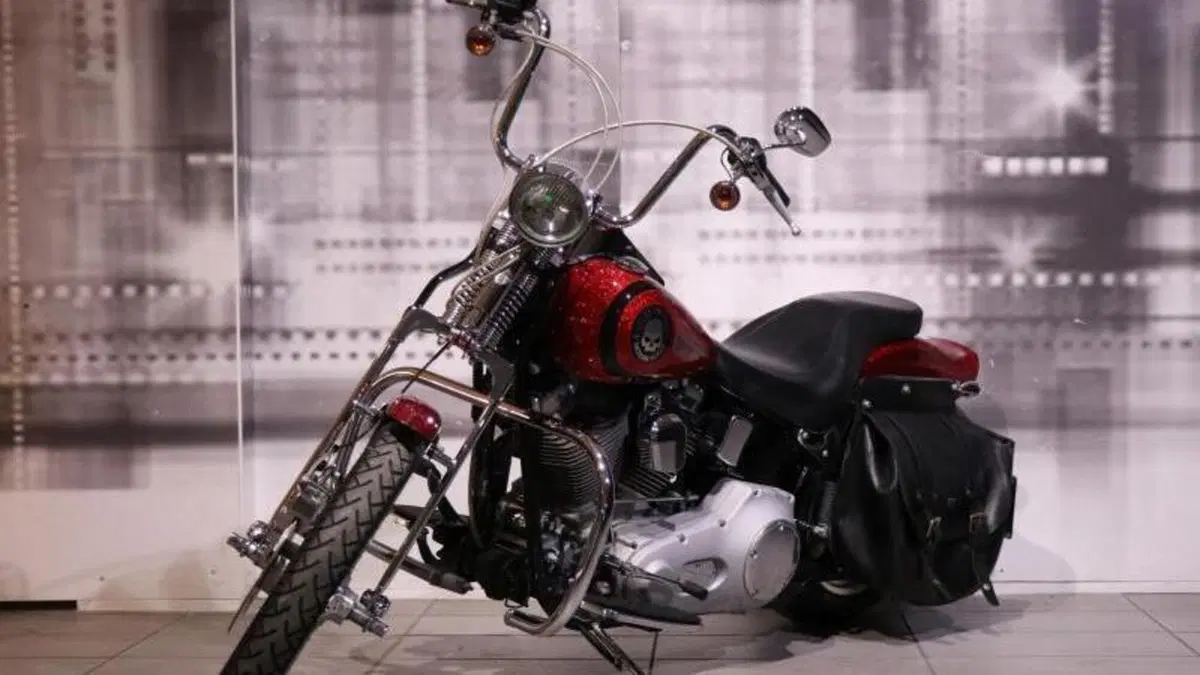 Harley-Davidson 1450 Standard (2002 - 05) - FXSTI  (7)