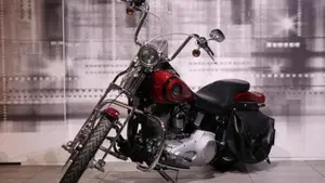 Harley-Davidson 1450 Standard (2002 - 05) - FXSTI  (7)