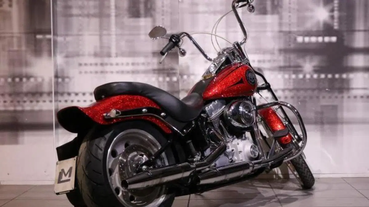 Harley-Davidson 1450 Standard (2002 - 05) - FXSTI  (8)