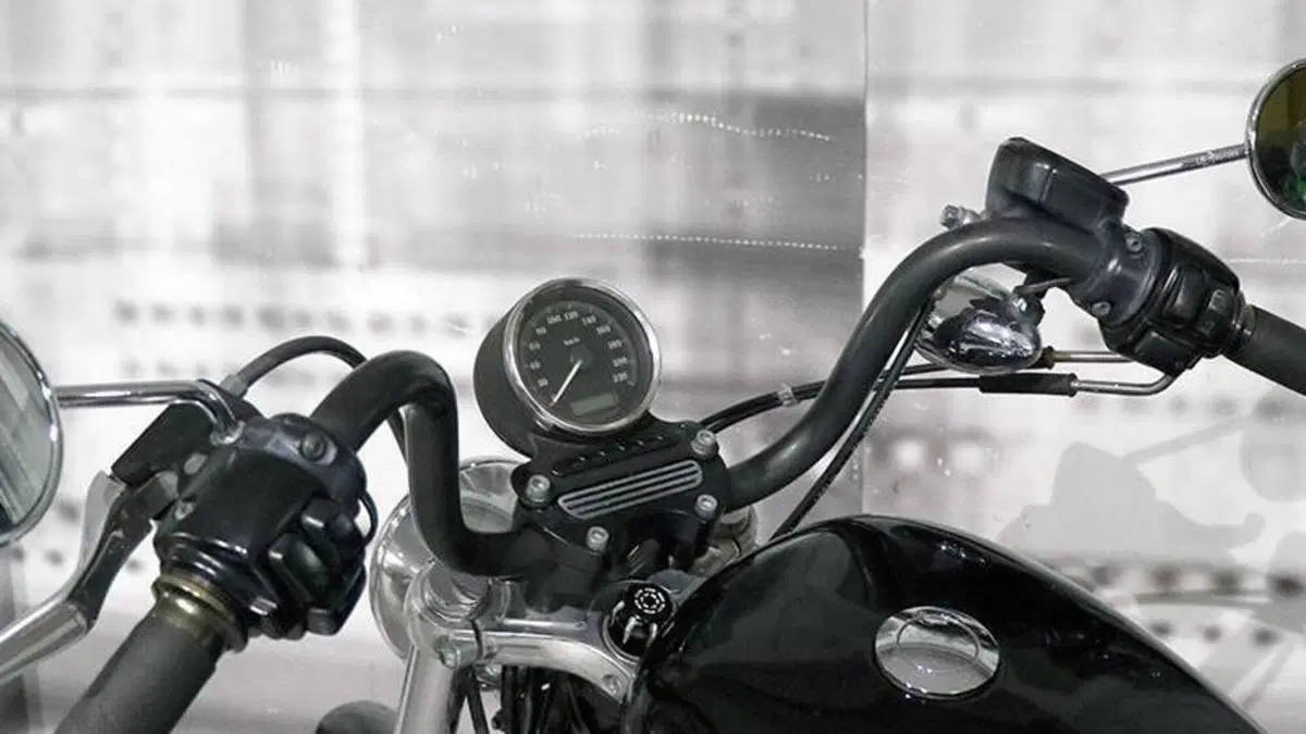 Harley-Davidson 883 (2006 - 07) - XL  (5)