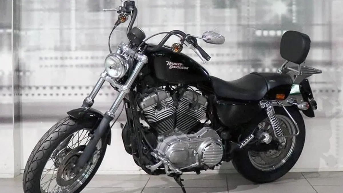 Harley-Davidson 883 (2006 - 07) - XL  (6)