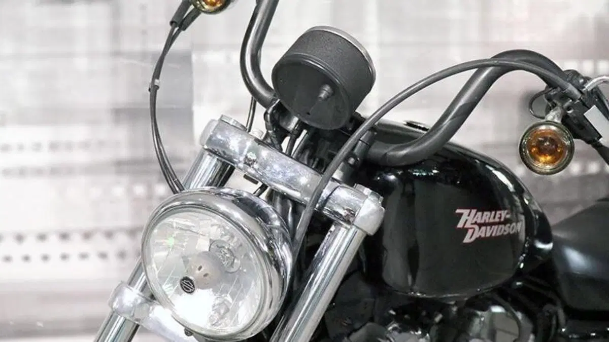 Harley-Davidson 883 (2006 - 07) - XL  (8)