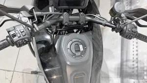 Harley-Davidson Pan America 1250 (2020 - 25)  (6)