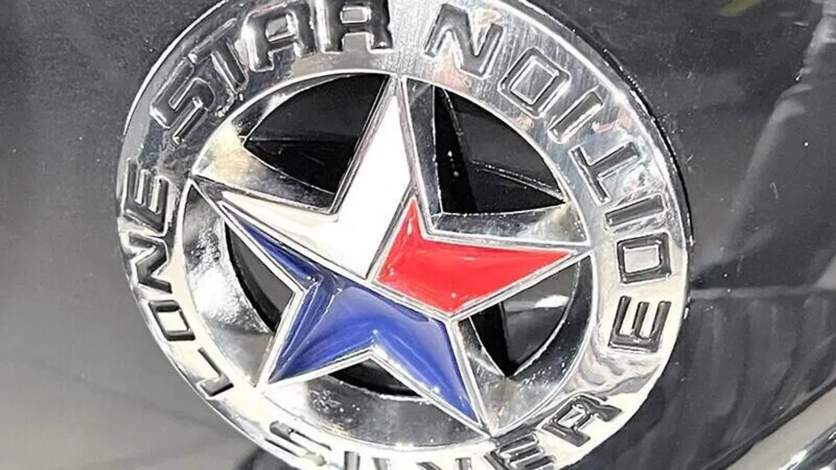 Harley-Davidson 1450 Electra Glide Standard (1999 - 00) - FLHT  (5)