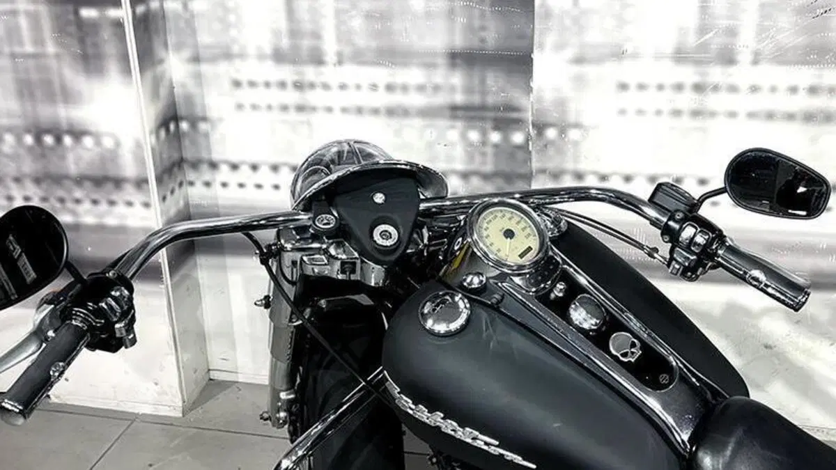 Harley-Davidson 1450 Road Glide (1999 - 06)  (6)