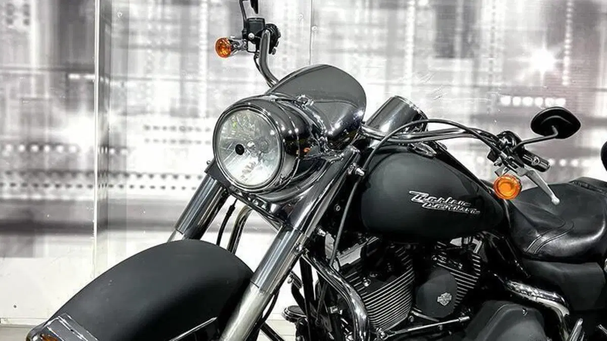 Harley-Davidson 1450 Road Glide (1999 - 06)  (9)