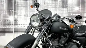 Harley-Davidson 1450 Road Glide (1999 - 06)  (9)