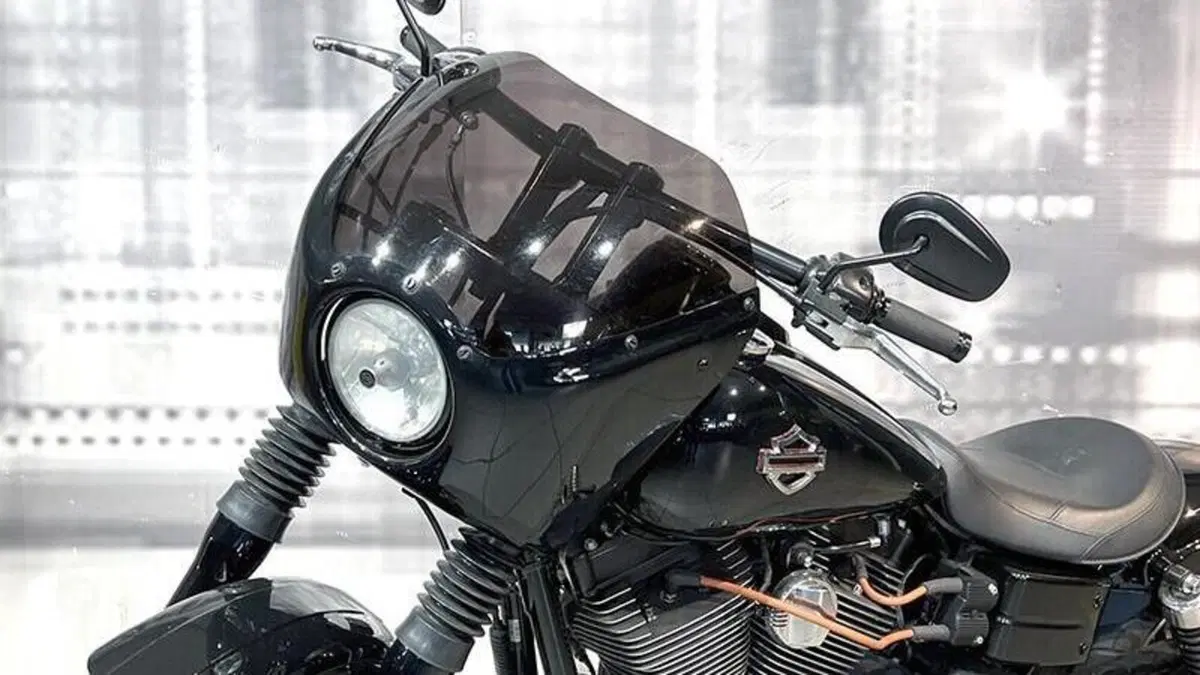 Harley-Davidson 1584 Street Bob (2007) - FXDB  (5)