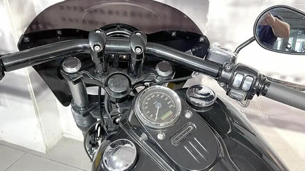 Harley-Davidson 1584 Street Bob (2007) - FXDB  (6)