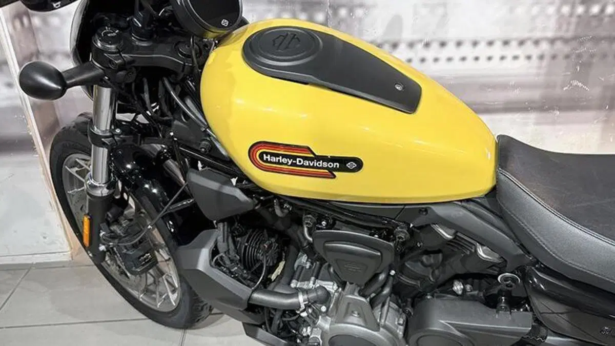 Harley-Davidson Nightster (2023 - 26)  (9)