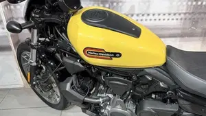 Harley-Davidson Nightster (2023 - 26)  (9)