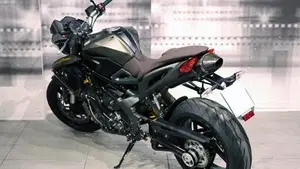 Benelli TNT 1130 R (2010 - 16)  (2)