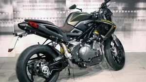 Benelli TNT 1130 R (2010 - 16)  (8)