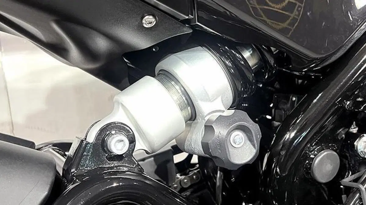 Benelli Leoncino 500 ABS (2017 - 20)  (4)