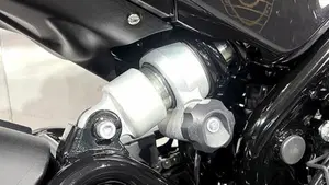Benelli Leoncino 500 ABS (2017 - 20)  (4)