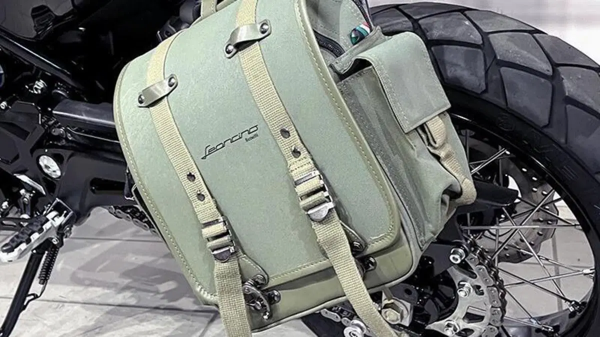 Benelli Leoncino 500 ABS (2017 - 20)  (5)