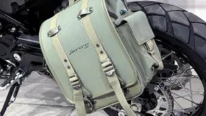 Benelli Leoncino 500 ABS (2017 - 20)  (5)