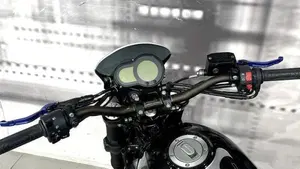 Benelli Leoncino 500 ABS (2017 - 20)  (6)