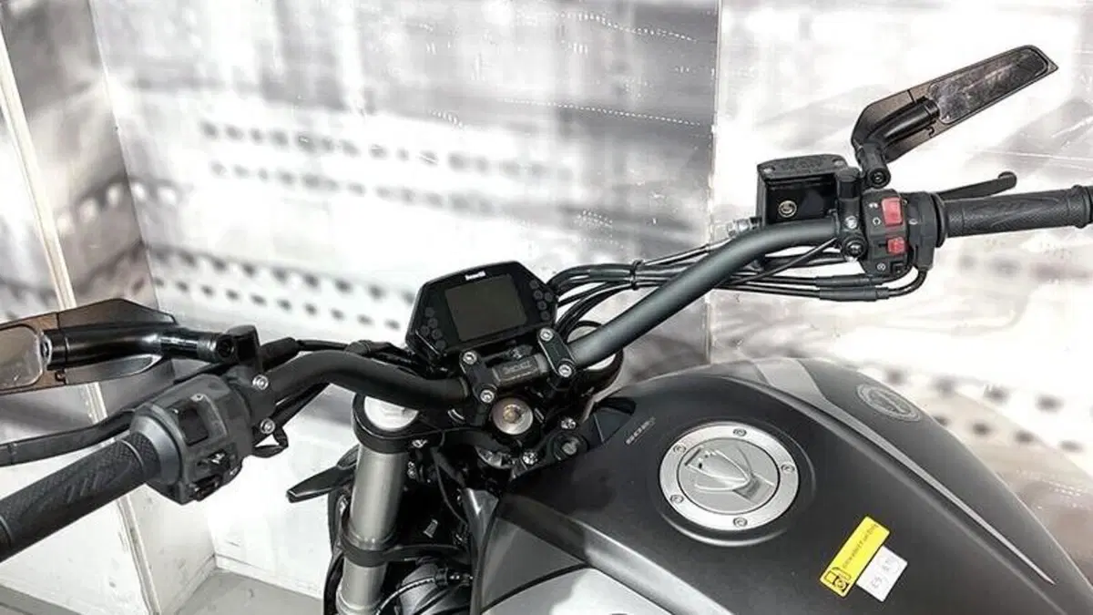 Benelli 502 C (2019 - 20)  (6)