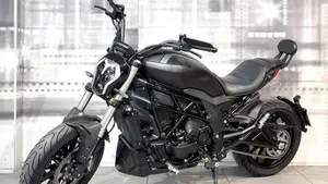 Benelli 502 C (2019 - 20)  (7)