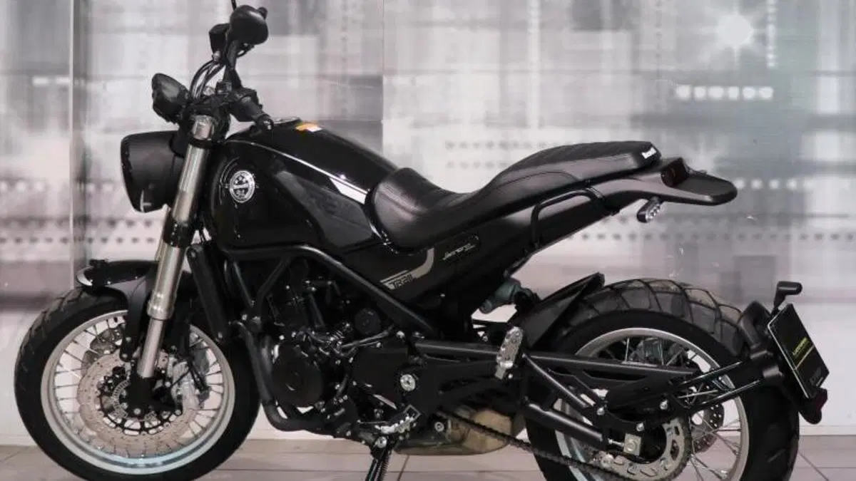 Benelli Leoncino 500 (2021 - 25)  (2)