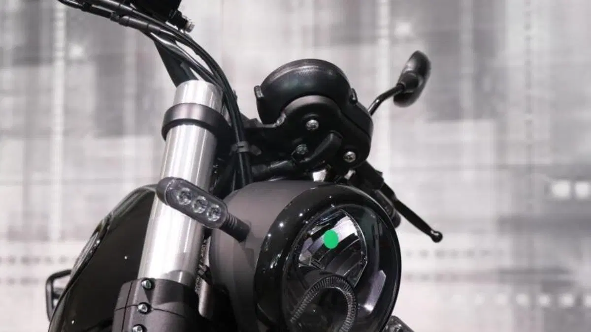 Benelli Leoncino 500 (2021 - 25)  (4)