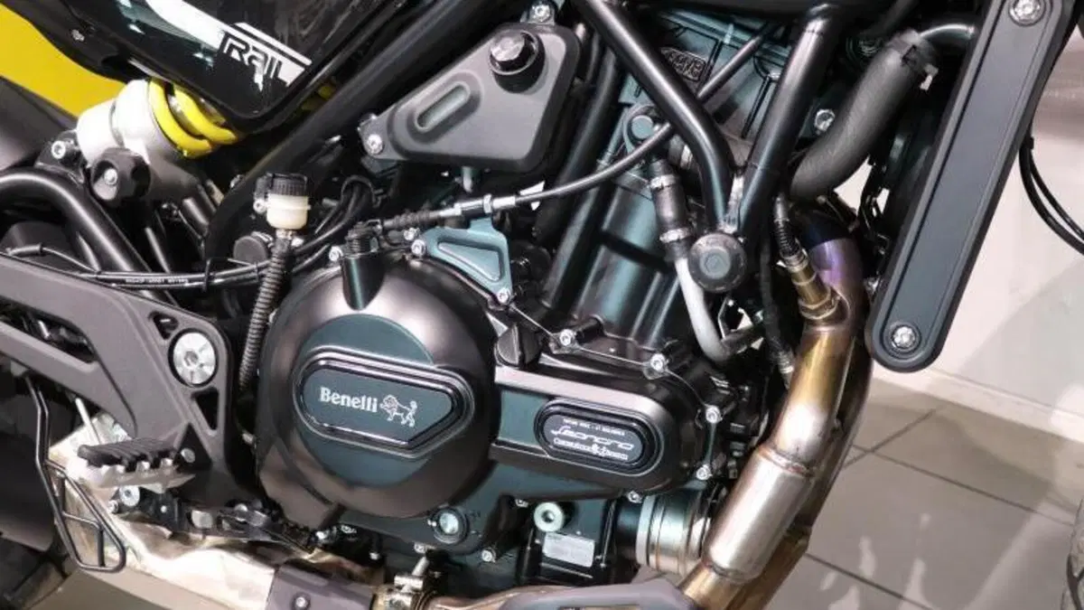 Benelli Leoncino 500 (2021 - 25)  (5)