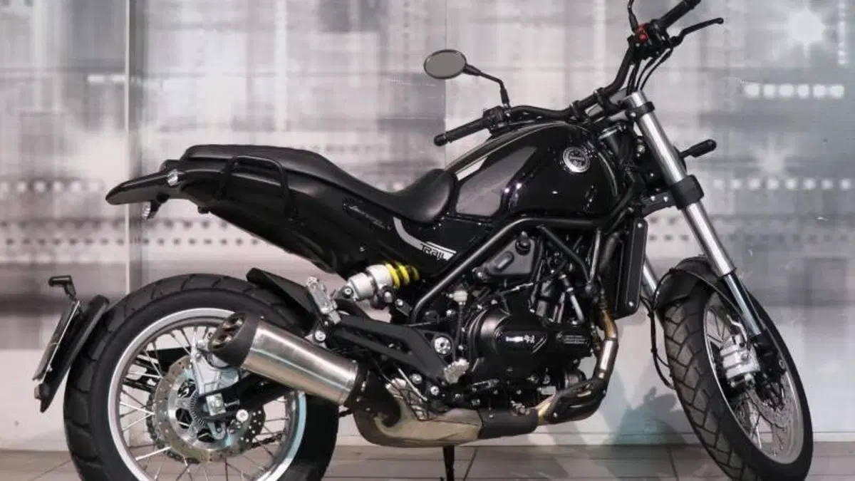 Benelli Leoncino 500 (2021 - 25)  (8)