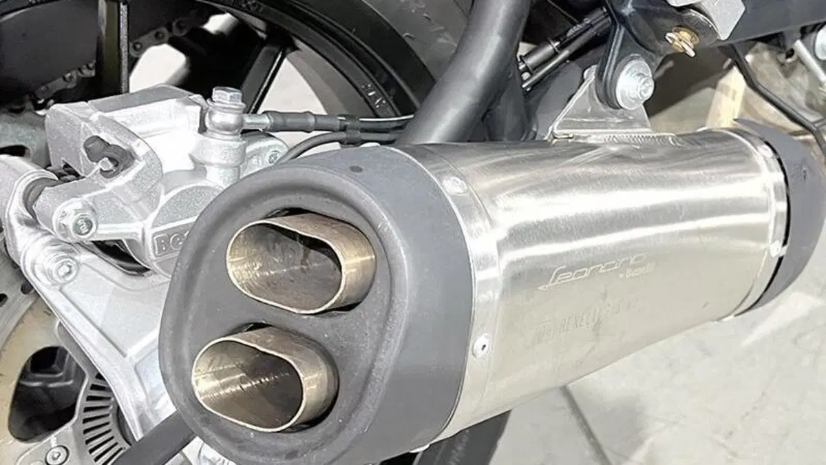 Benelli Leoncino 500 (2021 - 25)  (3)