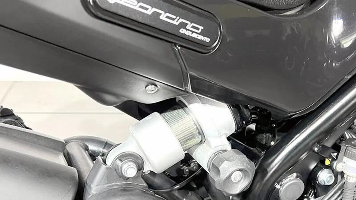 Benelli Leoncino 500 (2021 - 25)  (4)