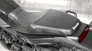 Benelli Leoncino 500 (2021 - 25)  (5)