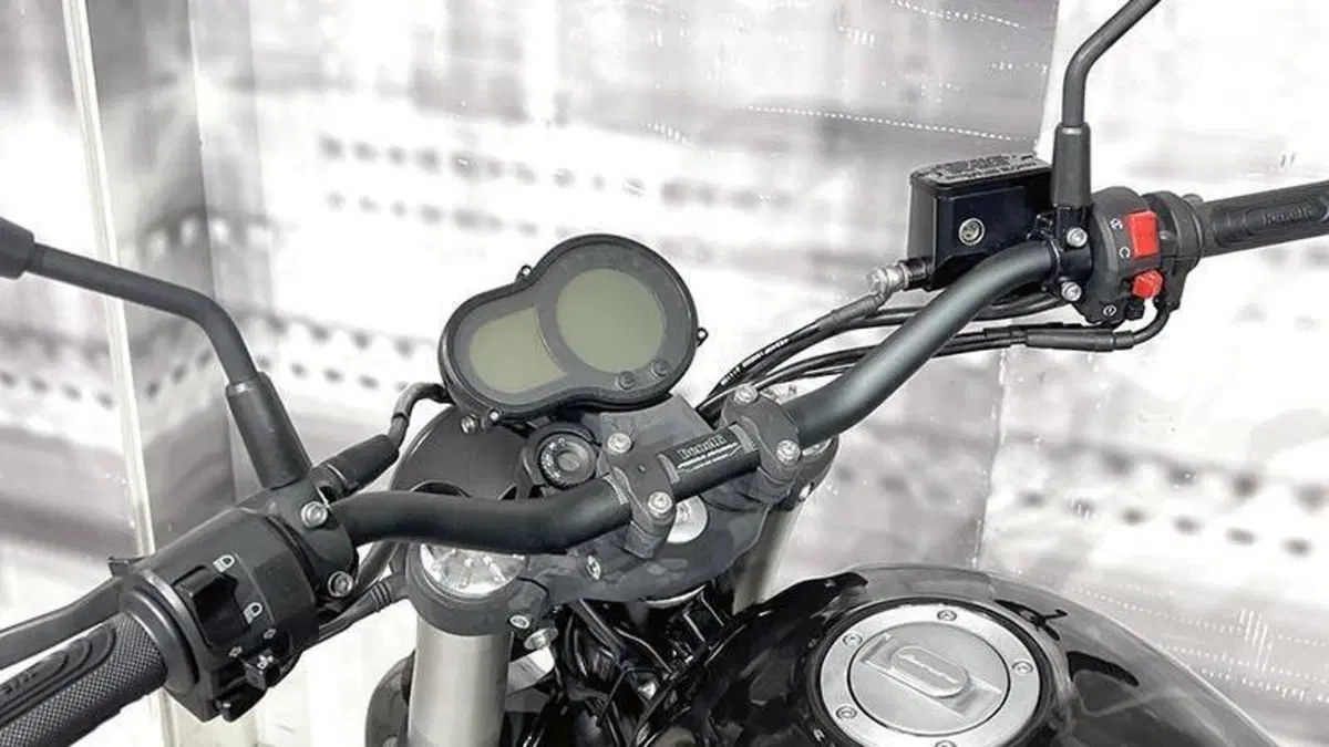 Benelli Leoncino 500 (2021 - 25)  (6)