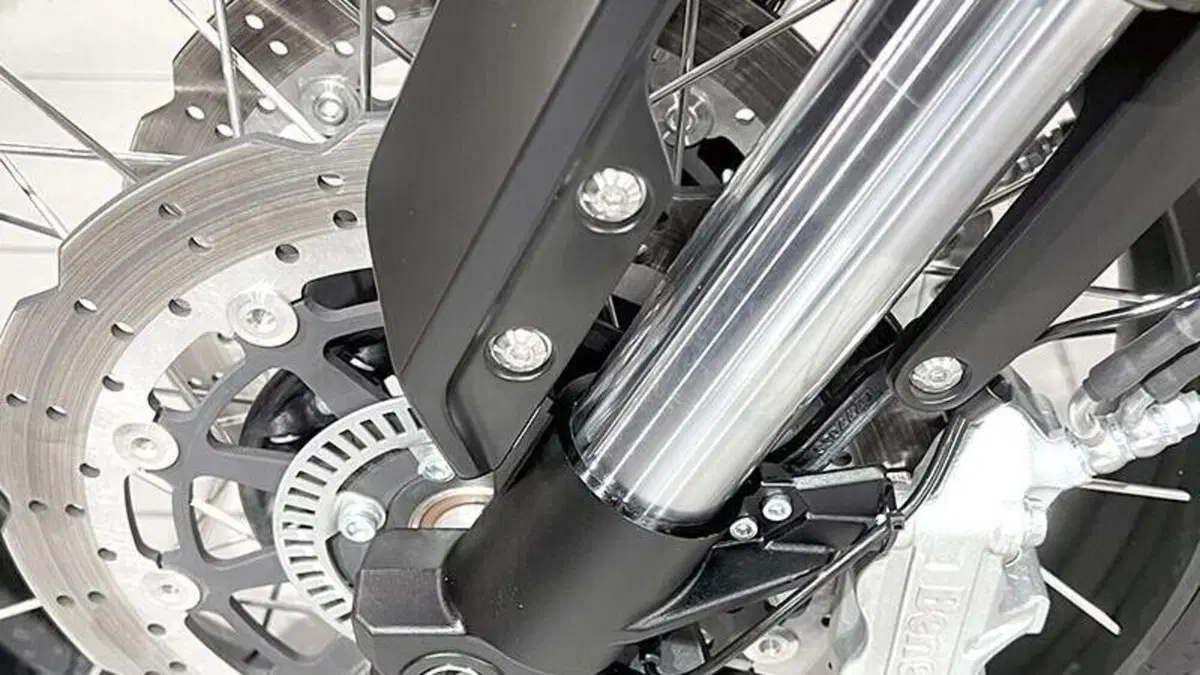 Benelli Leoncino 800 (2022 - 26)  (4)