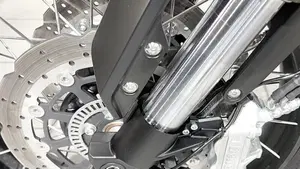 Benelli Leoncino 800 (2022 - 26)  (4)