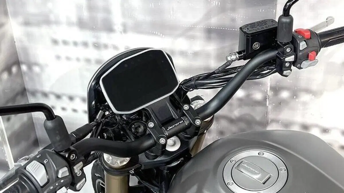 Benelli Leoncino 800 (2022 - 26)  (5)