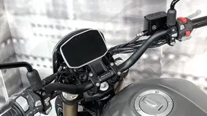 Benelli Leoncino 800 (2022 - 26)  (5)