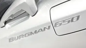 Suzuki Burgman AN 650 (2002 - 03)  (5)