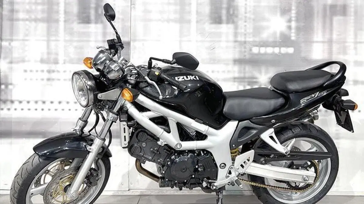 Suzuki SV 650 (1999 - 02)  (6)